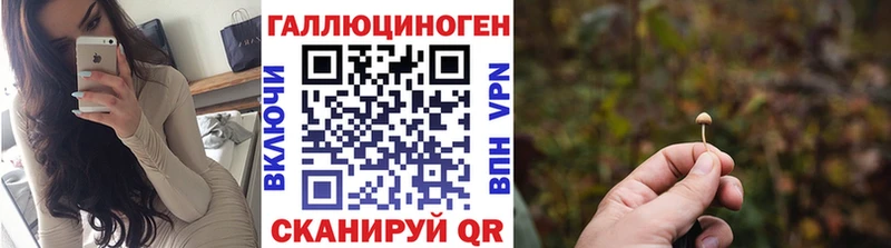 Галлюциногенные грибы Psilocybine cubensis  Исилькуль 